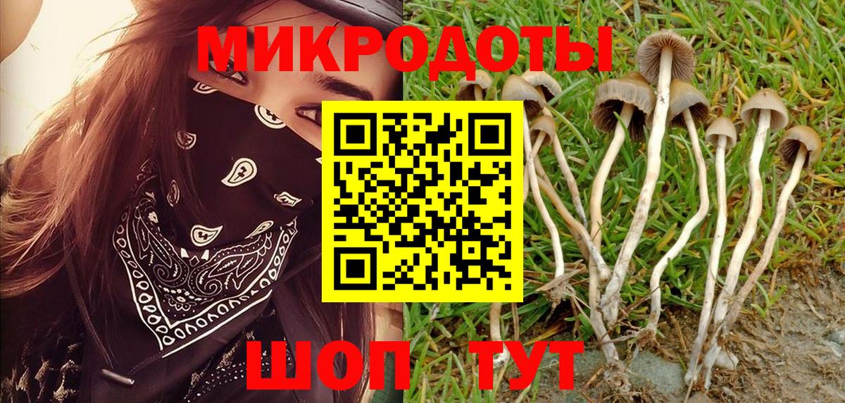 Галлюциногенные грибы Cubensis  Вход с VPN  Волжский 
